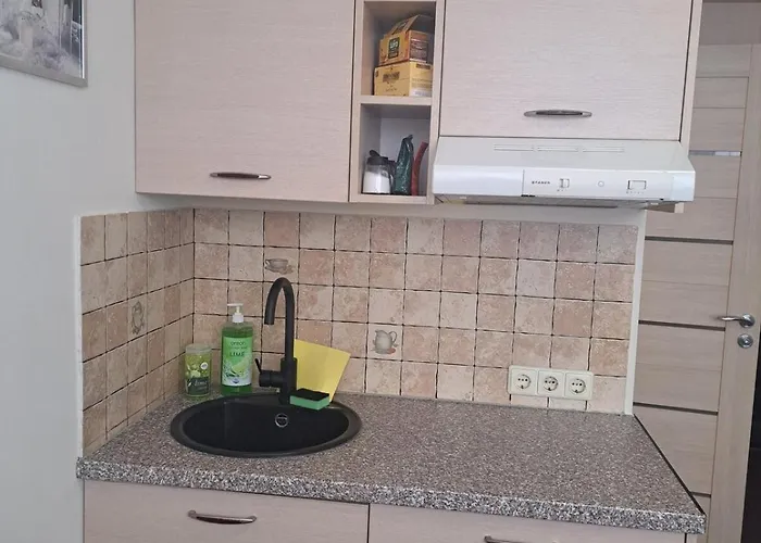 Cozy Place In Zirmunai 2 * Vilnius